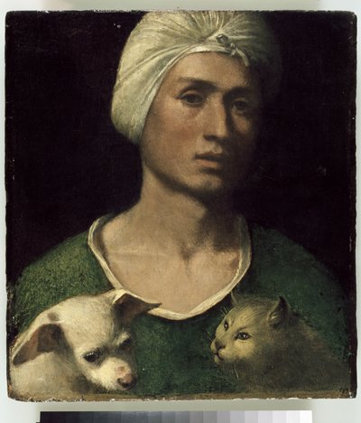 犬と猫を持つ若い男の肖像 作： Dosso Dossi